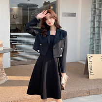 Big code Lions dress Spring new display slim cover Fat younger sister Conspicuy Suit Pendant With Skirt Suit Jacket Two-piece Set