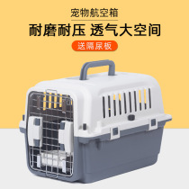 Cat Bag Out portable Puppy kitty Cat Rabbit Consignment Air Box Space Cabin Pet Hand Large Capacity Avionics Box