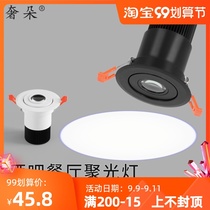 Spotlight led spotlight small commercial ceiling dining bar embedded foot bath COB color light KTV cafe