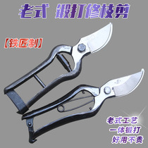 Looking Son Hill Prunes Cut Gods Fish Branches Scissors Blacksmith Wrought Fruit Tree Scissors Old-fashioned Gardening Scissors Labor-saving Shears
