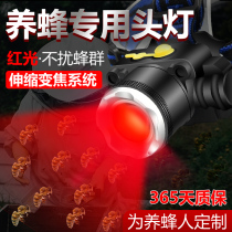 Red beekeeping special head lamp Bee honey bee lamp head-mounted flashlight focusing red and white double light source