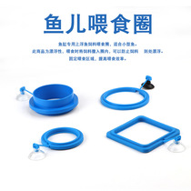 Feeding ring feeding fish food feed large buoyancy suspension floating artifact fish tank large goldfish small feeding turtle