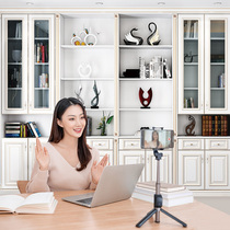 Net Red live room background wall Senior male anchor background cloth 3d high-definition book room bookcase layout three-dimensional decoration