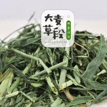 Barley grass grass seaweed flavor section guinea pig grain Dutch pig guinea pig guinea pig Rabbit Rabbit Chinchilla forage feed 220g