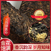 Black tea special authentic Anhua Golden Flower Poria Brick Hunan Anhua Tea 2010 Jiazi Jinfu 800g
