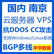 Beijing vps cloud server Independent IP High anti-attack BGP line CN2 optimization 389 static memory rental