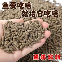Primary pond particle high protein density reservoir fishing black pit particle bait fish grass fish grass harvest