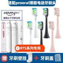 Replacement head Bohao proora electric toothbrush head rts2081 82B S227T09T31 2061 toothbrush head