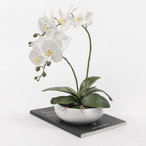 Emulated butterfly orchid floral art bonsai swing piece boilerplate room fake flower decoration living room tea table New Chinese potted plant