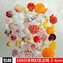 100 perforated colored shells Mediterranean diy wind chime curtain making material Childrens handmade creative pendant