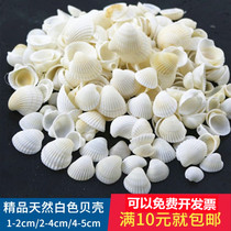 2-5cm white shell punching handmade shell diy photo frame wind chime children kindergarten handicraft class material package