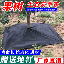Ground cloth anti-grass cloth weeding cloth Orchard agricultural durable slice mulch grass cover grass cloth grass cloth grass cloth anti-grass fruit tree