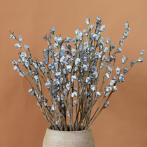 Eucalyptus small ginkgo natural eucalyptus fruit home furnishings immortal flower dry bouquet ins small fresh photography flower material