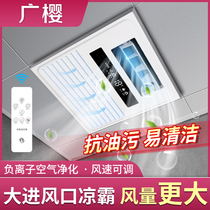 Kitchen integrated ceiling dome lighting two-in-one electric fan dedicated embedded toilet cold tycoon