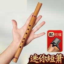Dongxiao musical instrument professional flute Zizhu 6 six holes Xiao 8 eight hole flute G tone F tune beginner Zizhu senior flute