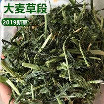  21-year-old new barley grass section hay Rabbit grass Chinchilla Dutch pig Guinea pig forage rabbit food feed 4 parts