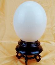 * Crafts bracket Emu egg rack new eggshell egg carving special painting engraving material ostrich large round day