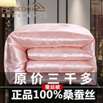 100% silk quilt with quilt winter quilt thickened warm winter quilt core summer cool by air conditioner quilted by double mother and mother