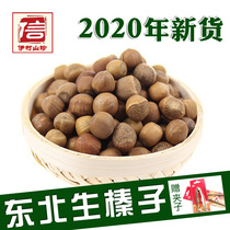 2020 New Northeast hazelnuts original flavor raw hazelnuts do not open Hazelnuts Small hazelnuts fire stick squirrel food