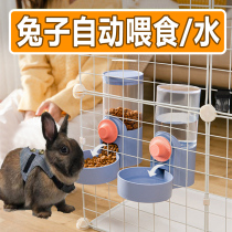 Rabbit Automatic Feeder Anti-Pickpocketing of a Bowl Bowl Fixed Grain Trough Feeding Rabbit DRINKING WATER POT SPECIAL FOR DINNER