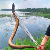 Yellow eel special clip lengthened stainless steel crab catch-up to sea special anti-slip garbage tool God Snake Mud Loach Clip