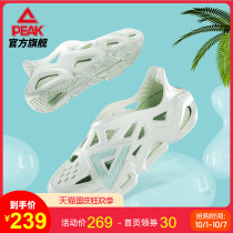 Peak style pole shoes couple 2021 summer new soft elastic breathable fashion waterproof sandals men and women tide