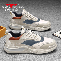 Bulls family mens shoes 2021 new winter cotton shoes plus velvet warm casual board shoes sports wave shoes father trendy shoes