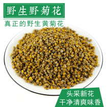 250g wild fetal daisy fragmented small dry mile mile chrysanthemum medicinal medicinal medicine for pharmaceutical use of peasant chrysanthemum tea
