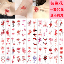 Bana Tattoo Stickers for women Waterproof long-lasting simulation clavicle ankle arm cover scar small pattern semi-permanent stickers