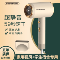 German electric hair dryer household silent high power negative ion hair care student dormitory quick dry barber shop Blower