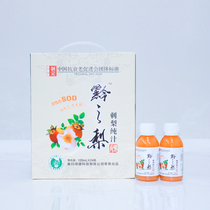 Qianzhi Pear Prickly Pear pure juice Golden Prickly pear juice Freshly squeezed Golden Prickly Pear original juice 120mL*24 bottles