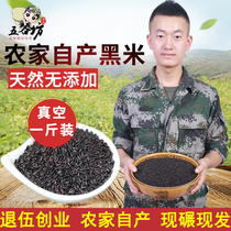 Black rice Shanxi specialty grain authentic black rice black rice black rice new rice 500g fresh farm home