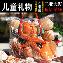 Natural big conch sea star shell specimens small fish tank landscaping package decoration students June 1 childrens holiday gifts