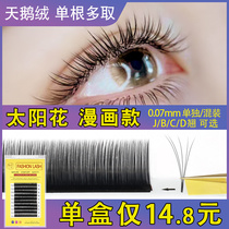 Velvet net red sun flowers single root for more flowering eyelashes comic book Desktop Day Style Soft Nature Dense
