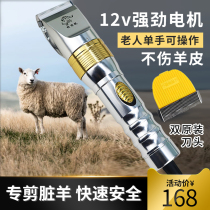 Lett Sharpened Professional Wool Electric Pushcut High Power Not Carb Shaved Wool electric Tweets Sheep Suede Goat Dirty Goat