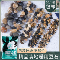 Natural pebbles small stones bean stone home heating backfill special swamp filter material 8mm 50 pounds