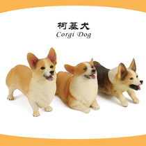Simulation dog model corgi dog doll children animal toys plastic cute smiling face puppy ornaments boy gifts