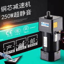 Factory DYG Toyo miniature AC gear reducer motor single-phase three-phase speed regulation 380 forward and reverse 220V250W