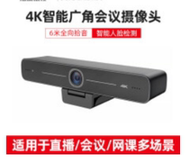 Hikvision video conferencing 4K Ultra HD built-in dual microphone USB computer camera D5ACAM100D
