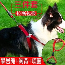Border Mustle Trash Strap Strap Medium and Small Dog Collar Set Border Collie Dog Walking Dog Rope Dog Chain