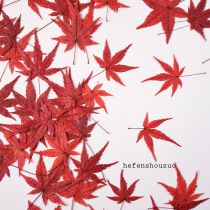 Two-color maple leaf real flower embossing handmade material kindergarten homework diy bookmark red fallen leaves drop glue autumn and winter