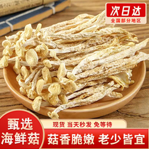 Seafood Mushrooms Dry Goods Yunnan Mountain Rare Taste Delicious edible mushrooms Mushroom Pot Soup Stir-fry hotel Special farmhouse 500 gr