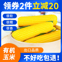 Tianyu organic yellow glutinous corn 10 pieces of Shanxi Xinzhou fresh fresh sticky sweet vacuum packaging meal ready to eat
