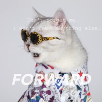Cat glasses pet funny small dog dog sunglasses photo artifact sun glasses personality accessories shake sound Net Red