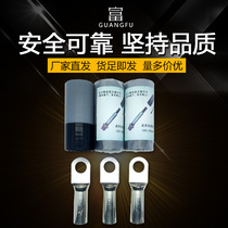 European-style American cable accessories plug-in head stress cone special copper wiring nose bare terminal copper connector copper wire lugs