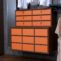 Underwear briefs socks finishing drawer upscale leather cloakroom containing box suede cloth lockers