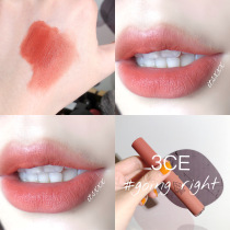 Korea 3CE Velvet Matte Lip Glaze taupe rust red private peach color going right