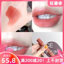 Korea 3CE Velvet Matte Lip Glaze taupe rust red private peach color going right