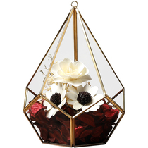 Nordic Modern Minimalist Geometric Flower Room Glass Hood Pendulum Creative Mind Home Living Room Wine Cabinet TV Cabinet Soft Adornment