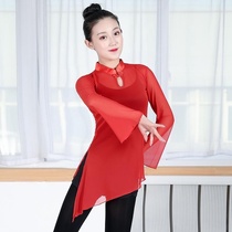  Practice cheongsam Ballet classical top body suit Long-sleeved mesh female adult bodybuilding gymnastics dance practice suit
